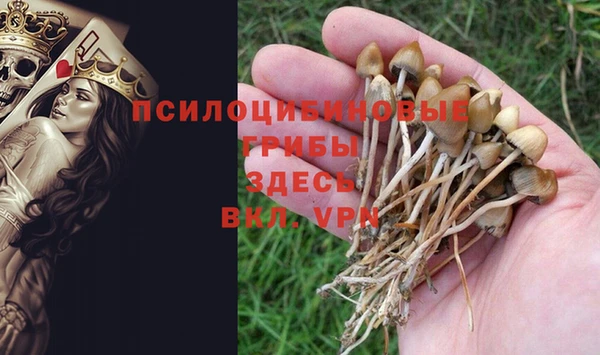 2c-b Абдулино