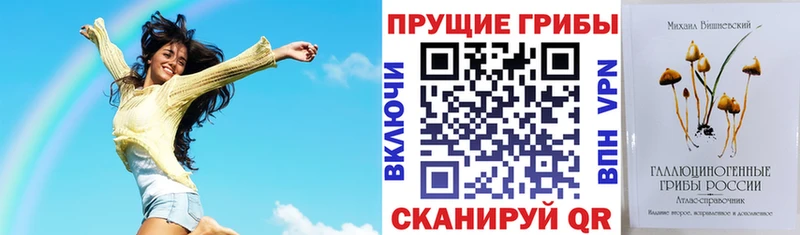 гидра зеркало  закладка  Поворино  Галлюциногенные грибы мицелий 